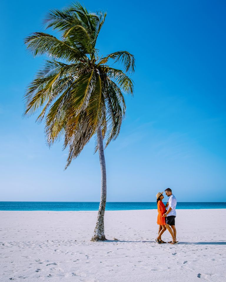 Palm trees on the shoreline of Eagle Beach, Aruba