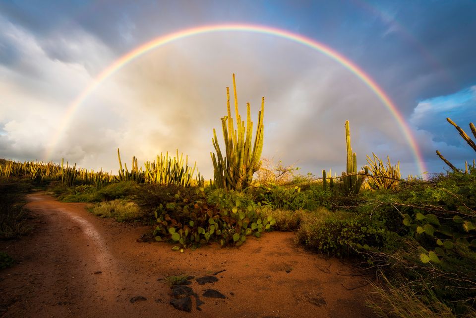 A rainbow over the cacti near Alto Vista Chapel, Aruba