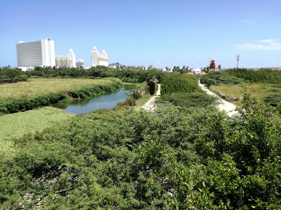 Bubali Bird Sanctuary wetlands, Palm Beach, Aruba
