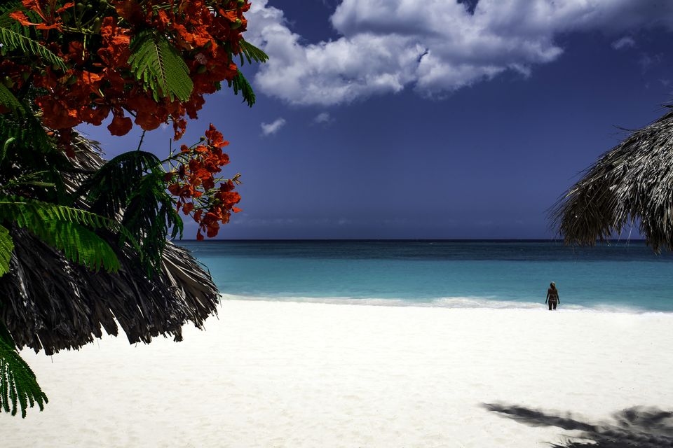 Druif Beach beside The Links at Divi Aruba
