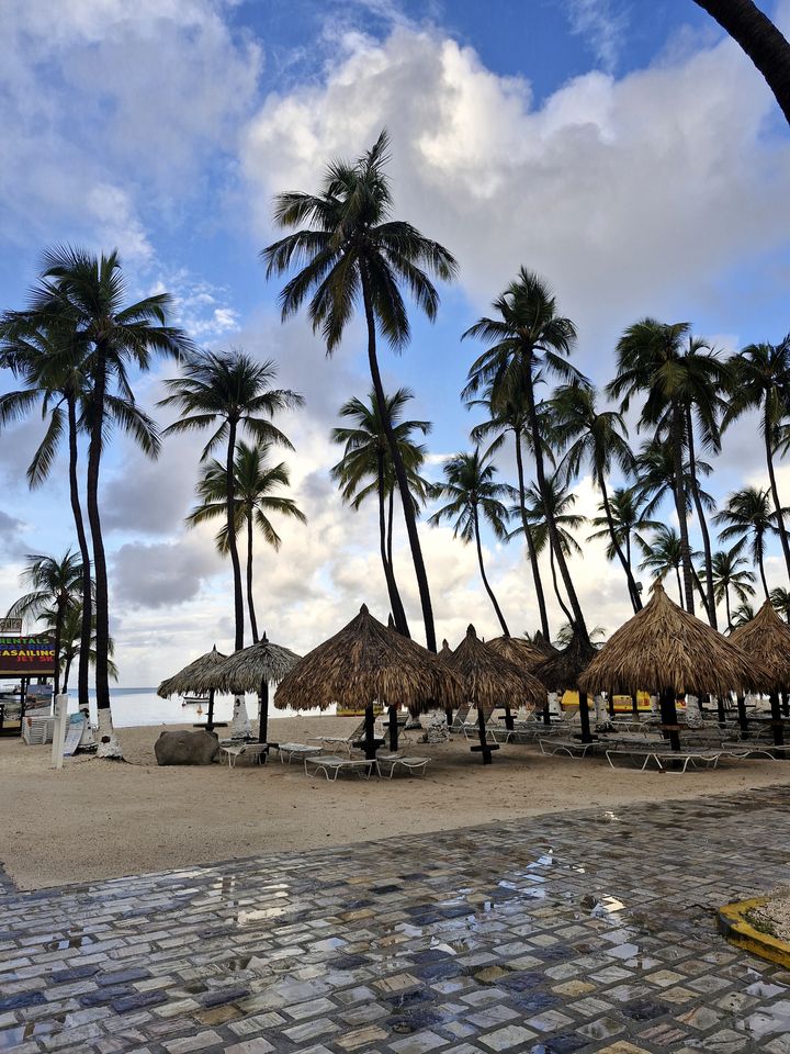 Palapas on Palm Beach, Noord, Aruba
